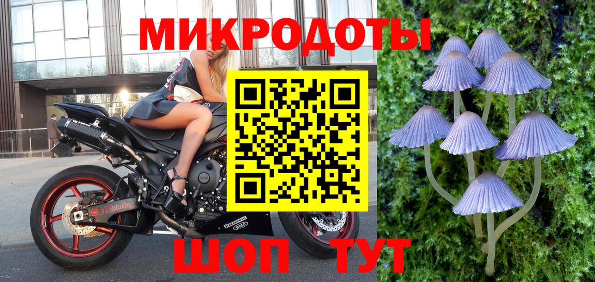 Алексин  Псилоцибиновые грибы мицелий  Вход с VPN 