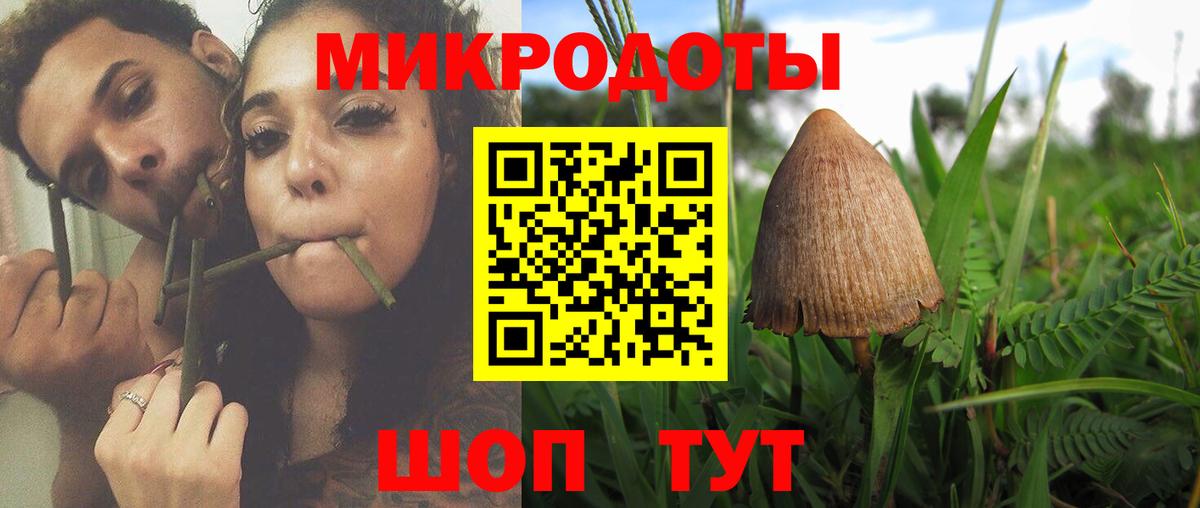 Галлюциногенные грибы MAGIC MUSHROOMS Алексин
